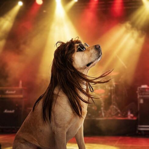 Dog Mullet Wig and Punk Sunglasses,Retro 70s 80s Disco Rock Star Halloween Party Costume Outfit for Medium Large Dogs,Curly Fancy Pet Brown Long Wig (Brown, One Size) in Saudi Arabia