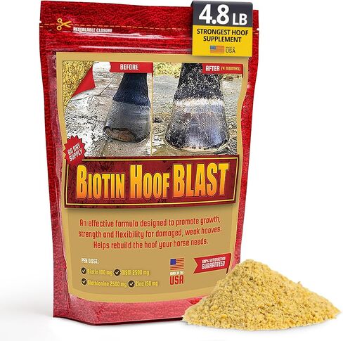 Horse Guard Hoof Supplements for Horses - 80 Servings - Biotin Hoof Blast 10lb Bag with 100mg Biotin per Serving - Concentrated Equine Hoof Health, Strengthener with MSM, Methionine, Zinc in Kuwait