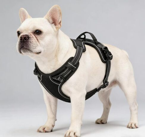 Blue No-Pull Dog Harness with 2 Leash Clips，Soft Padded Vest for Large Dog, Adjustable Reflective Dog Vest Easy to Put on and Take Off, (Neck: 17"~24", Chest: 24"~32",Blue L) in Kuwait