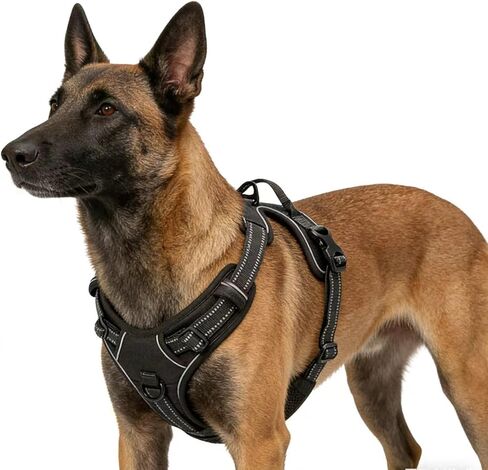 Blue No-Pull Dog Harness with 2 Leash Clips，Soft Padded Vest for Large Dog, Adjustable Reflective Dog Vest Easy to Put on and Take Off, (Neck: 17"~24", Chest: 24"~32",Blue L) in Kuwait
