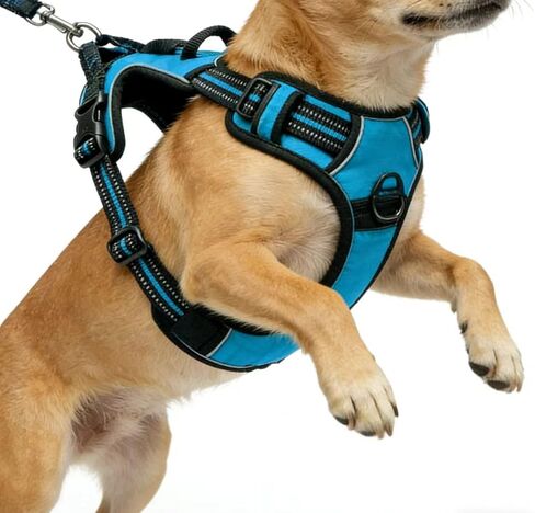 تسخير الكلب الأزرق غير السطحي مع مقاطع مقودان ， سترة مبطنة ناعمة للكلب الكبير ، وسترة الكلب العاكسة القابلة للتعديل سهلة وضعها وإقلاعها ، (الرقبة: 17 "~ 24" ، الصدر: 24 "~ 32" ، الأزرق L) in Kuwait