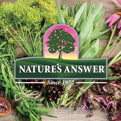 Nature's Answer Panax Ginseng Chinese White Ginseng, 1 Fluid Ounce in Saudi Arabia