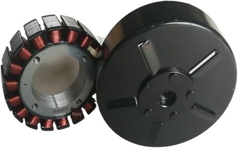 Asynchronous Motor Generator Fitting Level 18 21 27 48v 60v 72v Copper Coil Rotor and The Stator 3KW 4KW 5KW in Saudi Arabia