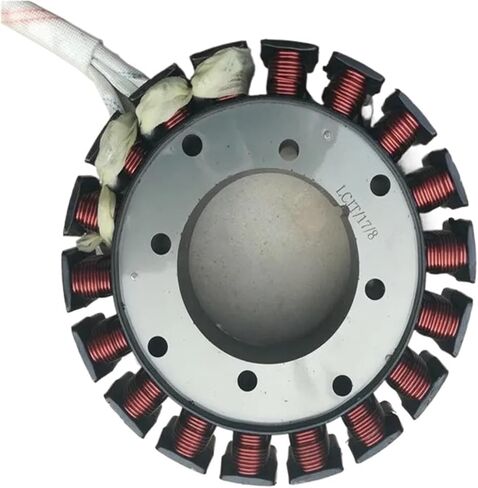Asynchronous Motor Generator Fitting Level 18 21 27 48v 60v 72v Copper Coil Rotor and The Stator 3KW 4KW 5KW in Saudi Arabia