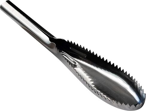 Fish Scaler, 304 Stainless Steel Fish Scaler Remover, Sawtooth Fish Descaler Tool for Family Kitchen, Seafood Markets in Saudi Arabia