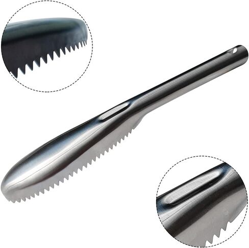 Fish Scaler, 304 Stainless Steel Fish Scaler Remover, Sawtooth Fish Descaler Tool for Family Kitchen, Seafood Markets in Saudi Arabia