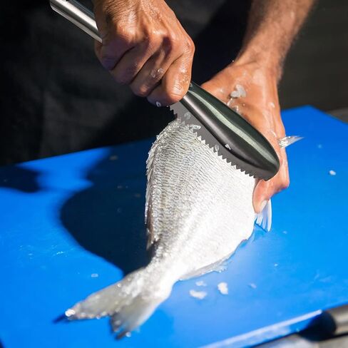 Fish Scaler, 304 Stainless Steel Fish Scaler Remover, Sawtooth Fish Descaler Tool for Family Kitchen, Seafood Markets in Saudi Arabia
