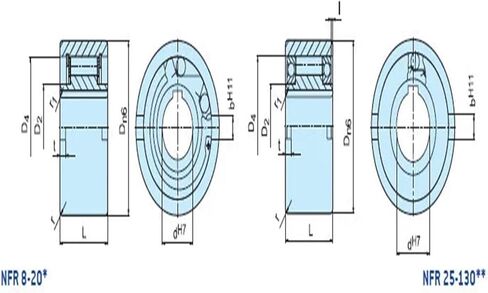 NFR50 One Way Bearing Backstop in Saudi Arabia