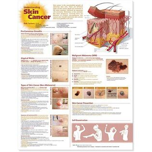 Anatomy Stuff product catalog