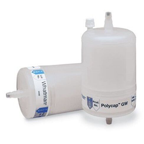 Whatman 6714-6004 Groundwater Filter Capsule, 0.45 µm, 1/cs in Saudi Arabia