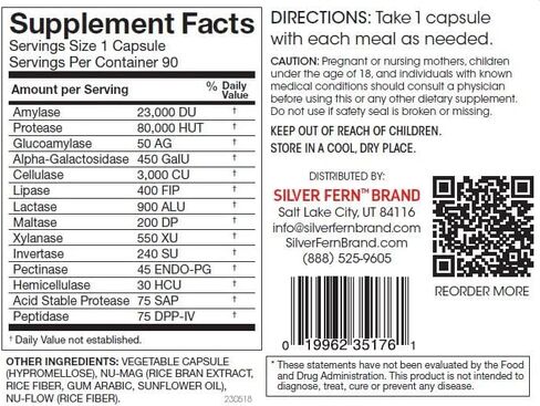 العلامة التجارية Silver Fern - مجموعة دعم الهضم العلوي والسفلي - حزمة إنزيمات الجهاز الهضمي والإغاثة الهضمية in Kuwait