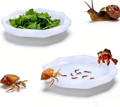 Snail Food and Water Bowl, Pet Snail Feeder, Small Reptile Food Dish Bowl Silicone Calcium Dish for Land Snails Lizard Gecko Bearded Dragon Chameleon and Hermit Crab (White, 2 Pcs) in Saudi Arabia