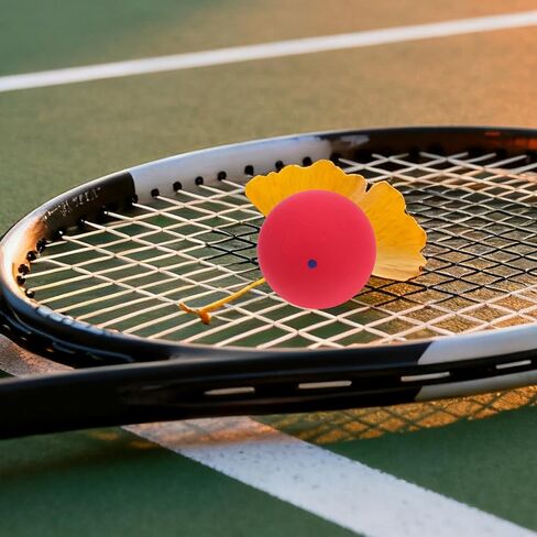 ibasenice Professional Squash Training Balls 2pcs White Red Set, Single Dot Indoor Court Squash Balls with Consistent Bounce and Quick Rebound for Practice and Warm-up in Saudi Arabia