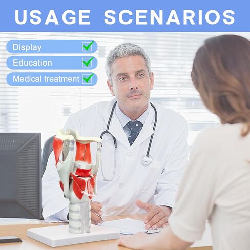 HADWYN 2025 New 3X Anatomy Larynx Functional Model, Model of Larynx Pharynx Model,Human Model for Reinforcing The Neck Structure and Function Medicine in Kuwait