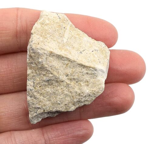 EISCO - 12PK Raw Travertine, Sedimentary Rock Specimens - Approx. 1" - Geologist Selected & Hand Processed - Great for Science Classrooms - Class Pack in Kuwait