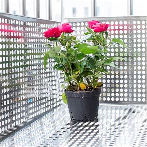 لوح مثقوب من الفولاذ المقاوم للصدأ 304 لسلامة الشرفة - شبكات معدنية مزخرفة مقاومة للطقس ولوحة شاشة (80 × 110 سم) - تصميم أنيق ومتين in Kuwait