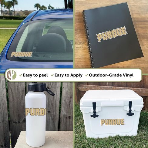 Desert Cactus Purdue University Sticker Boilermakers Vinyl Decal Laptop Water Bottle Car Scrapbook (IND 11) in Saudi Arabia