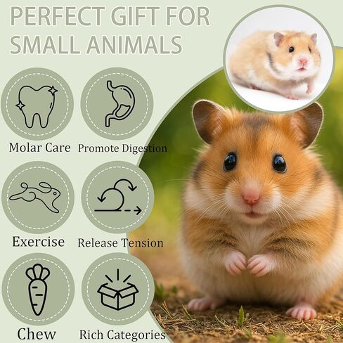 Chew Blocks Toys Balsa Wood Natural Chew Blocks for Hamster Chinchilla Guinea Pig,Molar Treats Snack for Small Animals Teeth Care for 16 Pack (40x40x40mm) in Kuwait