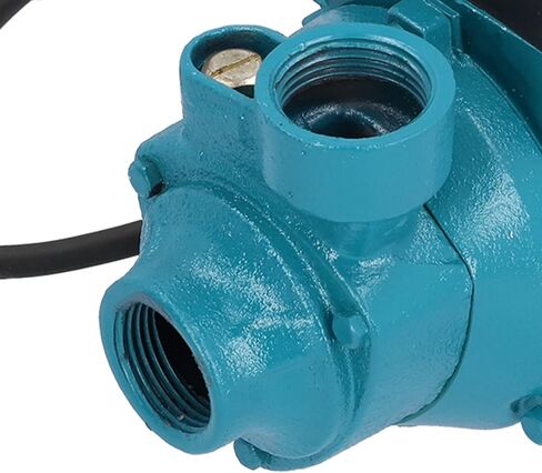 محرك دافع شفط واحد فعال من كينسو لإمدادات مياه الغلايات المنزلية لري المزرعة 15 متر DC12V in Saudi Arabia