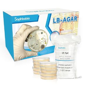 أطباق LB Agar - 10 أطباق بتري معقمة مصبوبة مسبقًا + 15 مسحة معقمة - طازجة، محكمة الغلق ثلاثية للزراعة البكتيرية ومختبرات الأحياء الدقيقة والاستخدام في الفصول الدراسية in Kuwait