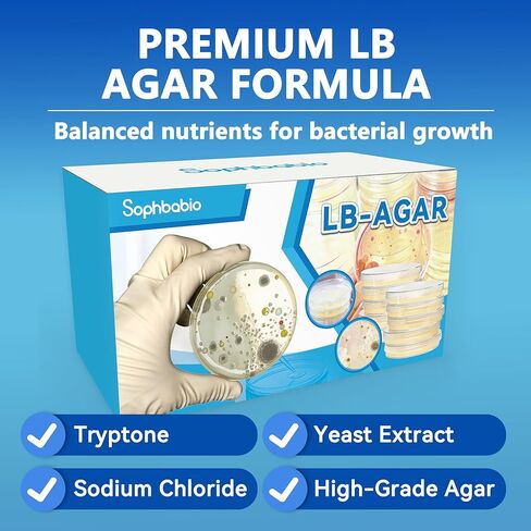 أطباق LB Agar - 10 أطباق بتري معقمة مصبوبة مسبقًا + 15 مسحة معقمة - طازجة، محكمة الغلق ثلاثية للزراعة البكتيرية ومختبرات الأحياء الدقيقة والاستخدام في الفصول الدراسية in Kuwait