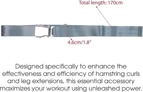 Leg Extension Seatbelt for Gym Lifting, Nordic Hamstring Curl Strap on Bench, 5.6ft L, Buckle Squat Collar for Workouts Machine Home Exercise Fitness Assisted Muscles Achieve Stability Women Men, Grey in Saudi Arabia