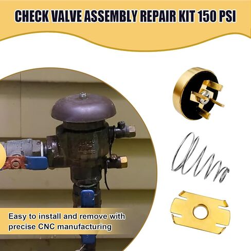 905-051 طقم إصلاح مجموعة صمامات الفحص 150 رطل لكل بوصة مربعة متوافق مع قواطع فراغ الضغط Fengco 765 1/2 بوصة و3/4 بوصة، يستبدل 765CBV 765DBV 300-096 630-108 in Kuwait