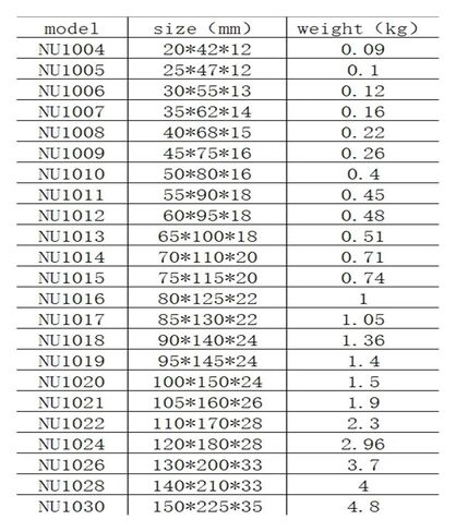 محامل أسطوانية NU1024 in Saudi Arabia