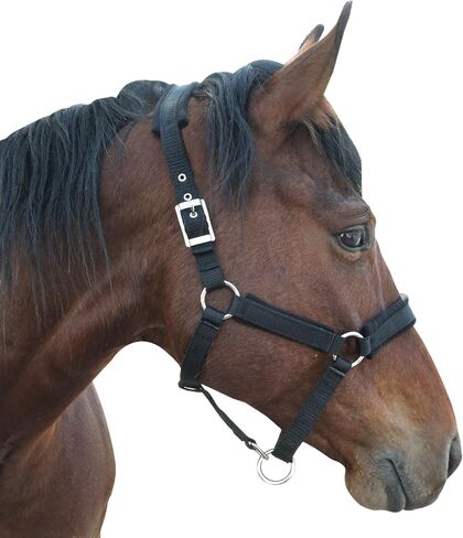 Adjustable Horse Halter with Polar Fleece Lined, Red, Durable PP Webbing, Nickel Plated Metal Hardware, Prevents Rubs, Adjustable Fit in Saudi Arabia