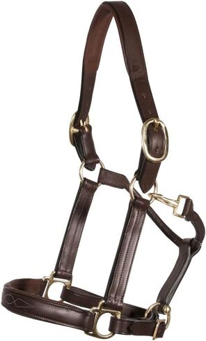 Joseph Sterling Dorchester Padded Leather Halter for Horses Masterful Craftsmanship | Extra Comfort with Padded Nose and Poll | Ideal for Show and Stable | Adjustable Fit in Saudi Arabia