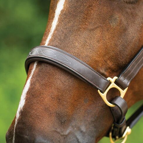 Joseph Sterling Dorchester Padded Leather Halter for Horses Masterful Craftsmanship | Extra Comfort with Padded Nose and Poll | Ideal for Show and Stable | Adjustable Fit in Saudi Arabia