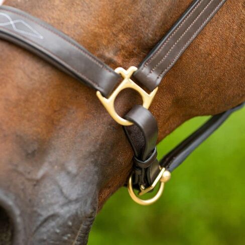 Joseph Sterling Dorchester Padded Leather Halter for Horses Masterful Craftsmanship | Extra Comfort with Padded Nose and Poll | Ideal for Show and Stable | Adjustable Fit in Saudi Arabia