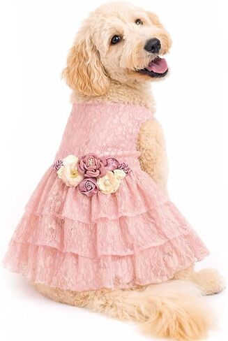 The Josefina Mauve, Blush, and Ivory Wedding Dog Dress | Pink Dog Dress (5X-Large (60-95 lbs)) in Saudi Arabia