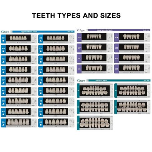 Acrylic Resin Fake Teeth Synthetic Denture Resin Teeth Complete Teeth 84PCS /Box for Halloween Party Replacement (A1 468 U67 34) in Kuwait