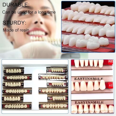 Acrylic Resin Fake Teeth Synthetic Denture Resin Teeth Complete Teeth 84PCS /Box for Halloween Party Replacement (A1 468 U67 34) in Kuwait