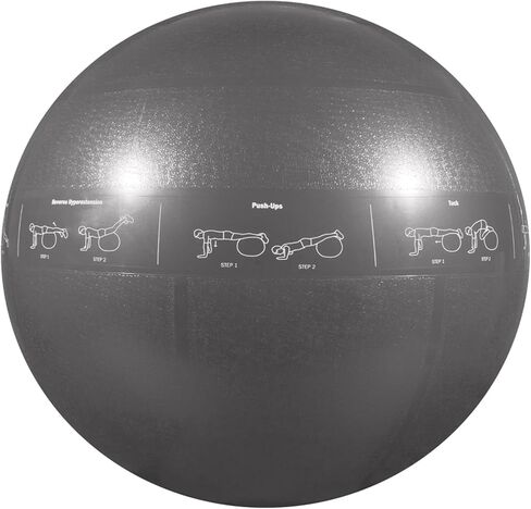 GoFit ProBall Stability Ball – Printed Exercise Ball for Yoga, Workout, Balance - Silver 75cm,GF-75PRO in Kuwait