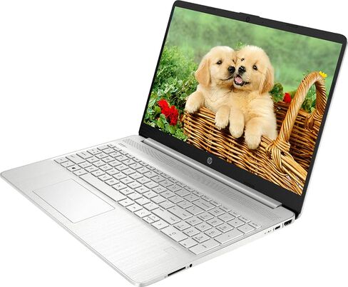 HP 2025 15 كمبيوتر الكمبيوتر المحمول ، 15.6 "FHD College طلاب الكمبيوتر المحمول ، Intel Core I5 ​​(10 نوى) ، 64 جيجا بايت ذاكرة الوصول العشوائي 1TB SSD+512GB in Saudi Arabia