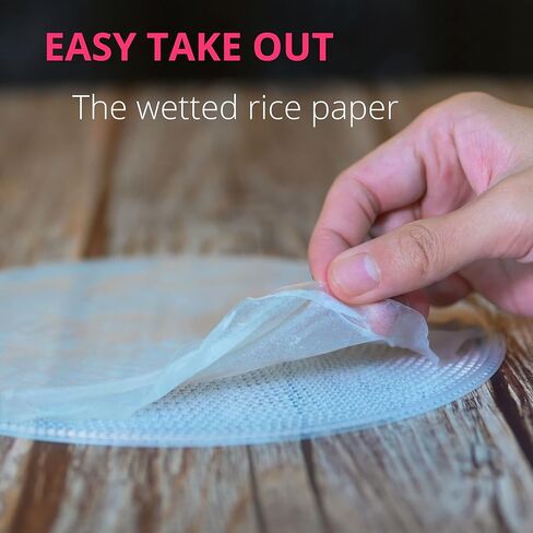 TANISA Rice Paper Wrapper Tray 10 Round Mesh Trays and 1 Collapsible Stand for Spring Rolls, Egg Rolls Making in Saudi Arabia