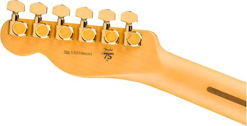Fender 75th Anniversary American Professional II Custom Telecaster with Maple Fingerboard Alder Body and Molded Case Included (2-Color Sunburst) in Saudi Arabia