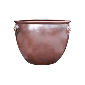 Small Fish Tank Ceramic Fish Tank, Water Lily, Lotus Basin, Living Room, Turtle Tank, Courtyard, Outdoor Lion Ear Large Water Tank, Tree Basin Fish Tank Kit in Kuwait