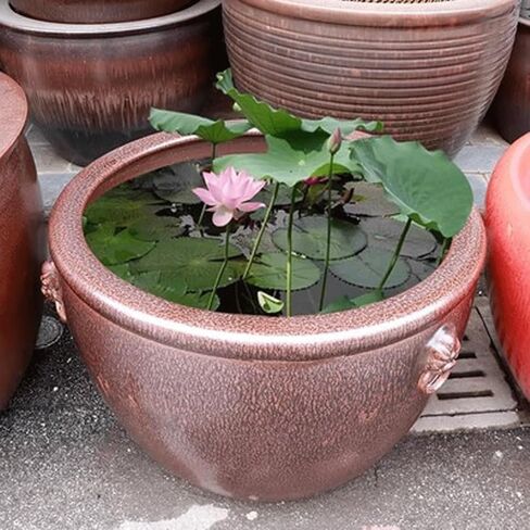 Small Fish Tank Ceramic Fish Tank, Water Lily, Lotus Basin, Living Room, Turtle Tank, Courtyard, Outdoor Lion Ear Large Water Tank, Tree Basin Fish Tank Kit in Kuwait