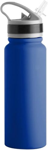 Logo Brands MLB Stainless Steel Flip Top Sports Bottle 25oz (Chicago Cubs) in Saudi Arabia