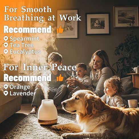 مجموعة الزيوت العطرية للناشر للمنزل، اللافندر، النعناع، ​​شجرة الشاي، الأوكالبتوس، البرتقال in Kuwait