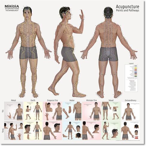 Miridia Acupuncture Chart - Huge Laminated Anatomical TCM Meridian & Points Poster - Clinic/Study Use - Accurate Acupuncture Point Chart - Clear Labels - Comprehensive Meridian System - 36x36, Male in Kuwait