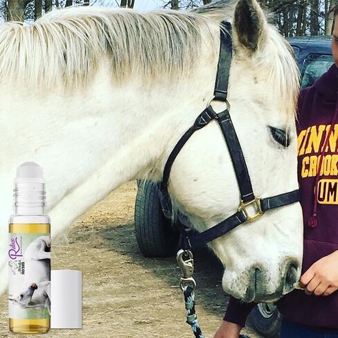 The Blissful Horses Relax Roll On Horse Aromatherapy كل الدعم الطبيعي لقلق خيولك in Kuwait