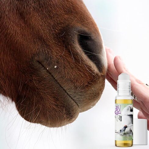 The Blissful Horses Relax Roll On Horse Aromatherapy كل الدعم الطبيعي لقلق خيولك in Kuwait