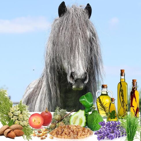 The Blissful Horses Relax Roll On Horse Aromatherapy كل الدعم الطبيعي لقلق خيولك in Kuwait
