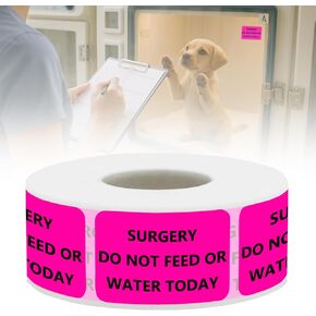 Surgery DO NOT Feed OR Water Veterinary Labels - Pet Care Instruction Stickers for Animal Clinics, Shelters, Pet Stores, 500 PCS/Roll (Surgery DO NOT Feed OR Water, 1.5" L x 1" W) in Kuwait