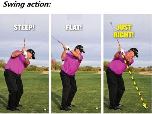 مدرب أرجوحة الجولف، طائرة متأرجحة، تذكير بوضعية الجولف in Kuwait