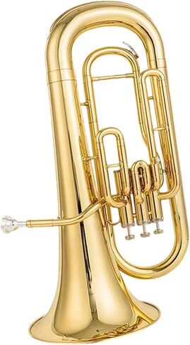 مبتدئ توبا بي بوق مسطح للآلات النحاسية in Kuwait